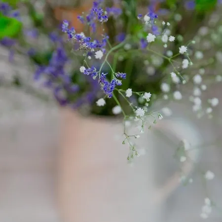 Апартаменти Typical Alfama Apartment, By Timecooler