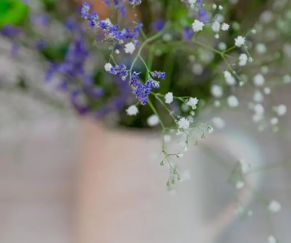 شقة Typical Alfama Apartment, By Timecooler